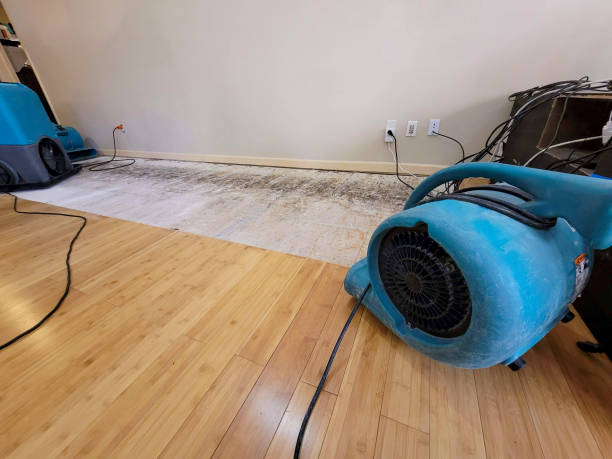 Professional Basement Flood Cleanup technician working in Kennedy, CA